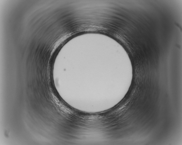 X0000100321122200806261220