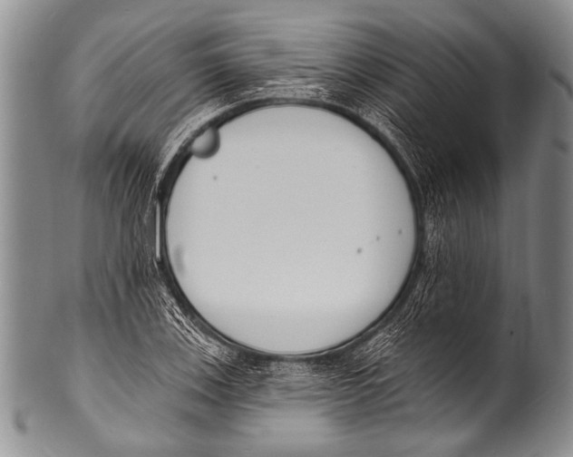 X0000100321123200806261220