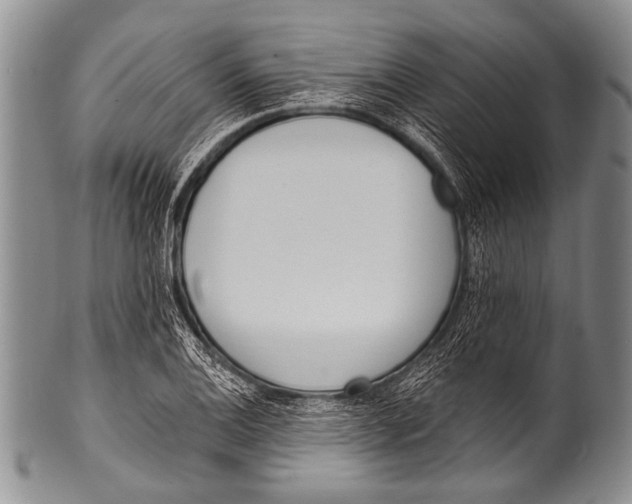 X0000100321124200806261220