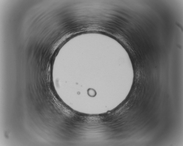 X0000100321126200806261220