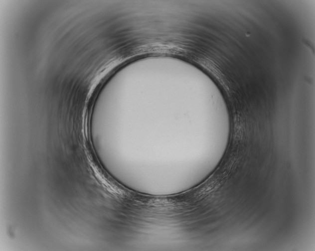 X0000100321128200806261220