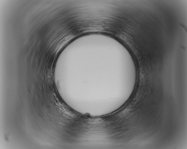 X0000100321129200806261220