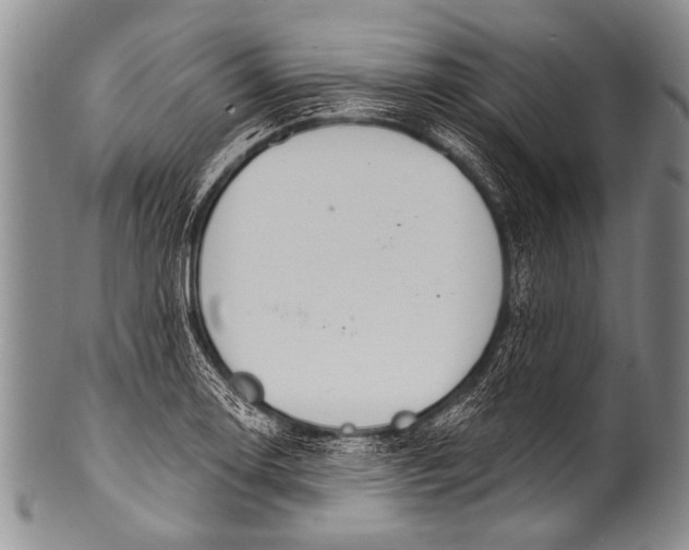 X0000100321130200806261220