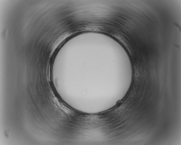 X0000100321131200806261220