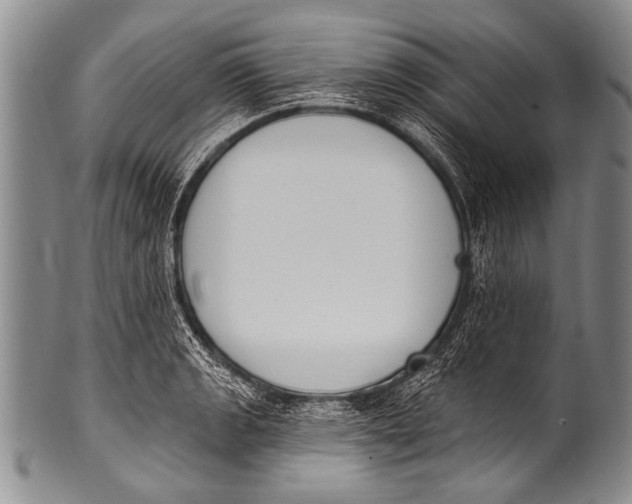 X0000100321133200806261220