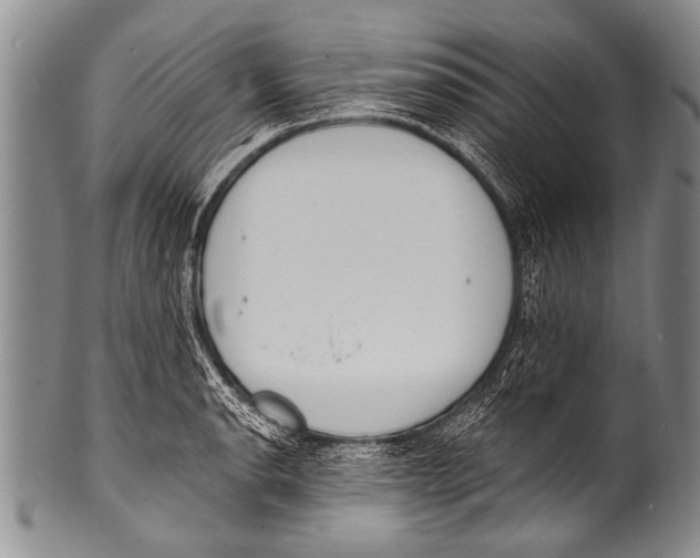 X0000100321134200806261220