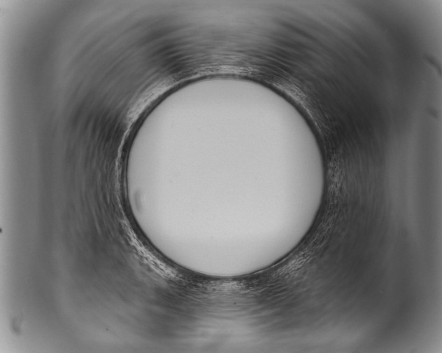 X0000100321135200806261220