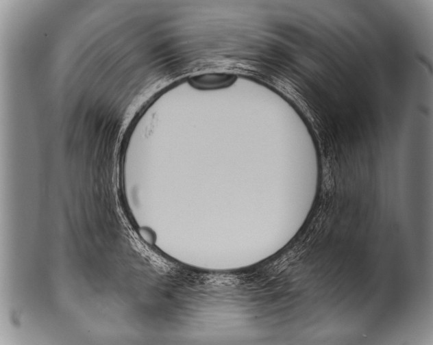 X0000100321136200806261220