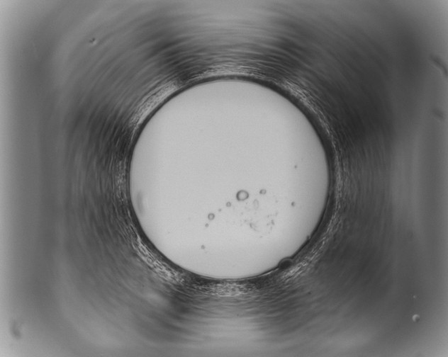 X0000100321137200806261220