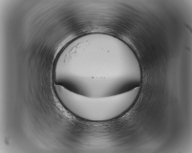 X0000100321138200806261220