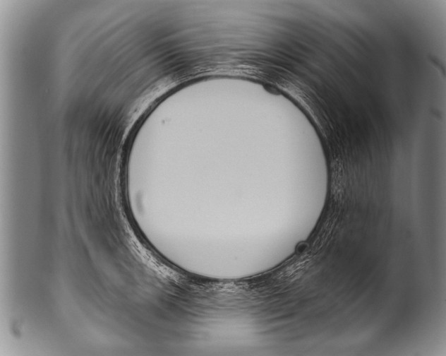 X0000100321139200806261220