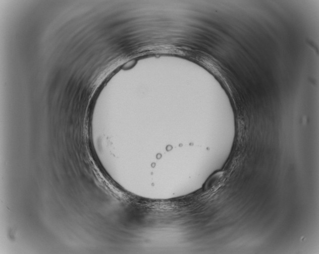 X0000100321141200806261220