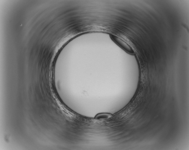 X0000100321144200806261220