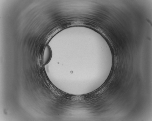 X0000100321145200806261220