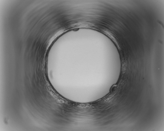 X0000100321146200806261220