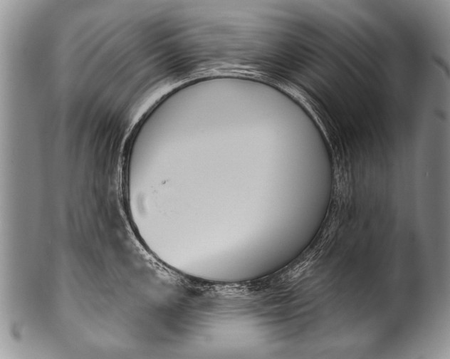 X0000100321147200806261220