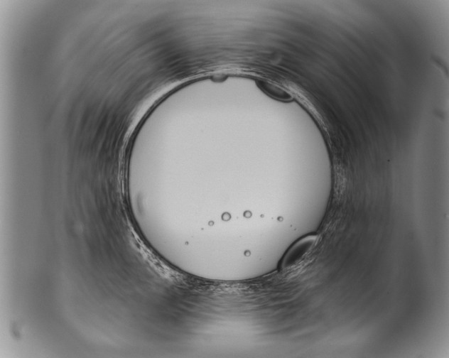 X0000100321148200806261220