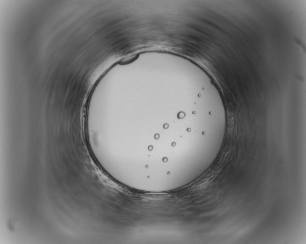 X0000100321151200806261220