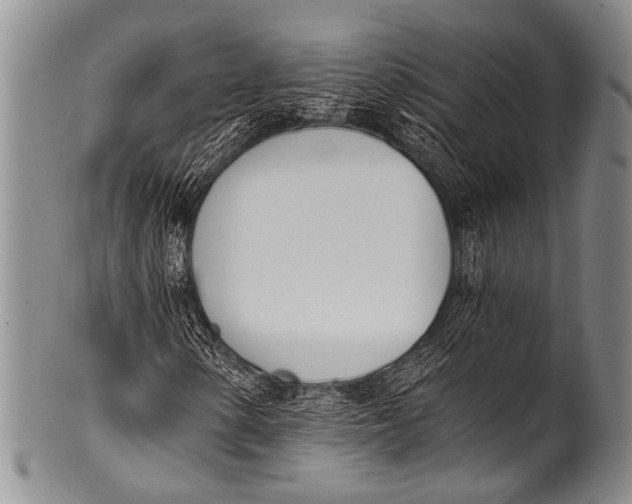 X0000100321154200806261220