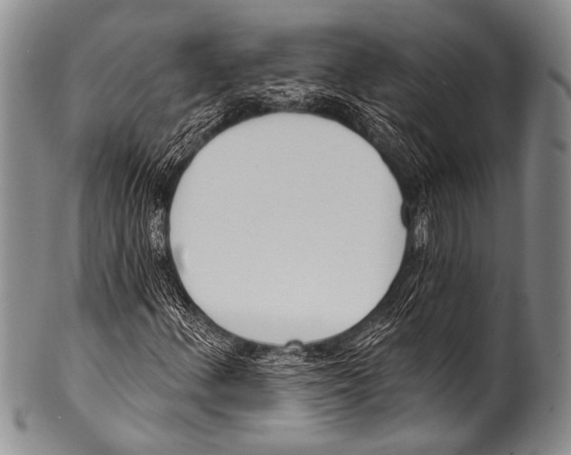 X0000100321156200806261220