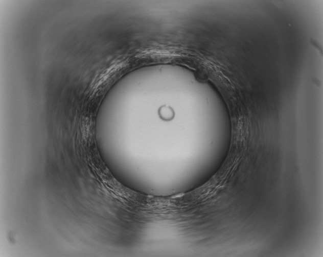 X0000100321157200806261220