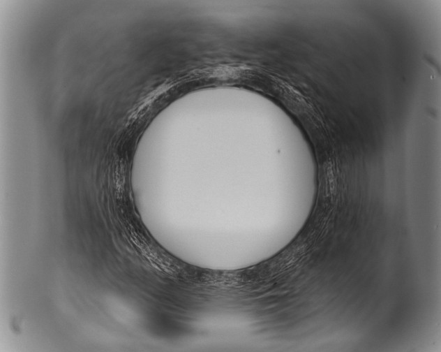 X0000100321158200806261220