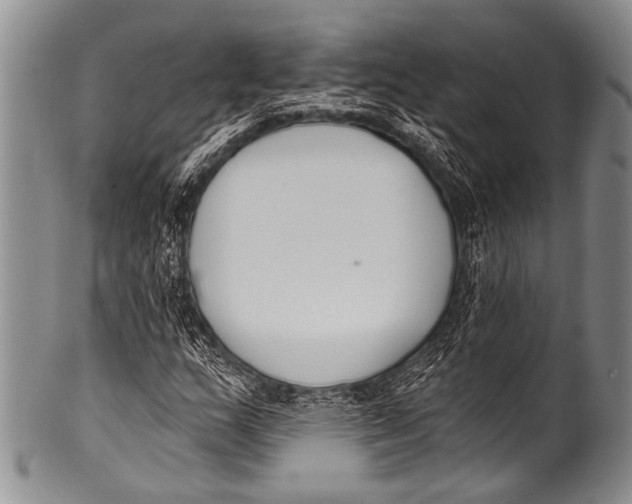 X0000100321159200806261220