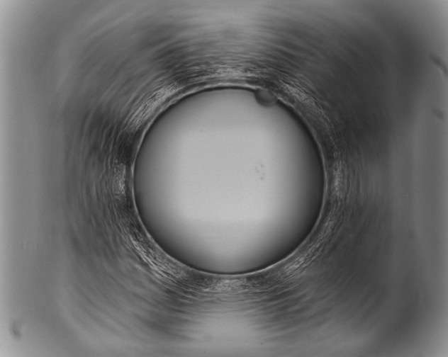 X0000100321161200806261220