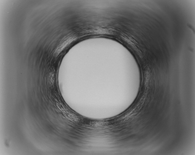 X0000100321163200806261220