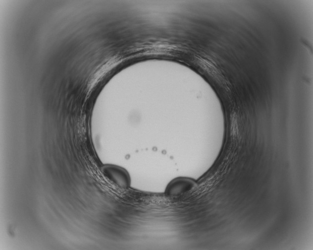 X0000100321164200806261220