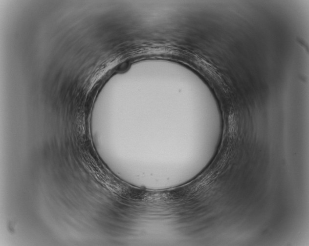 X0000100321165200806261220