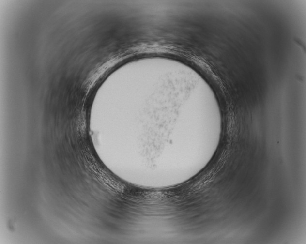 X0000100321167200806261220