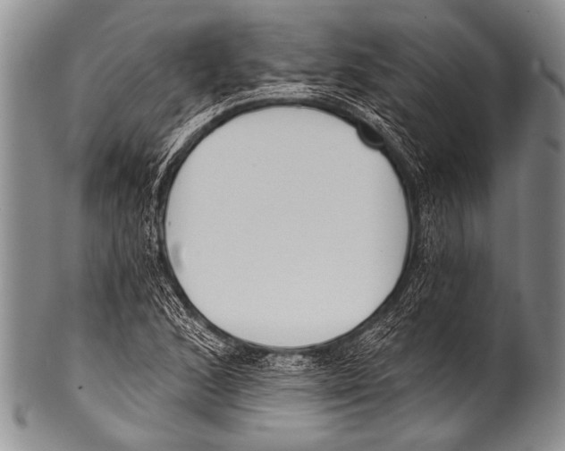 X0000100321168200806261220