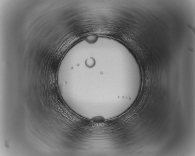 X0000100321169200806261220