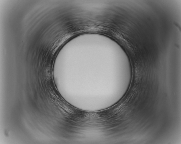 X0000100321170200806261220