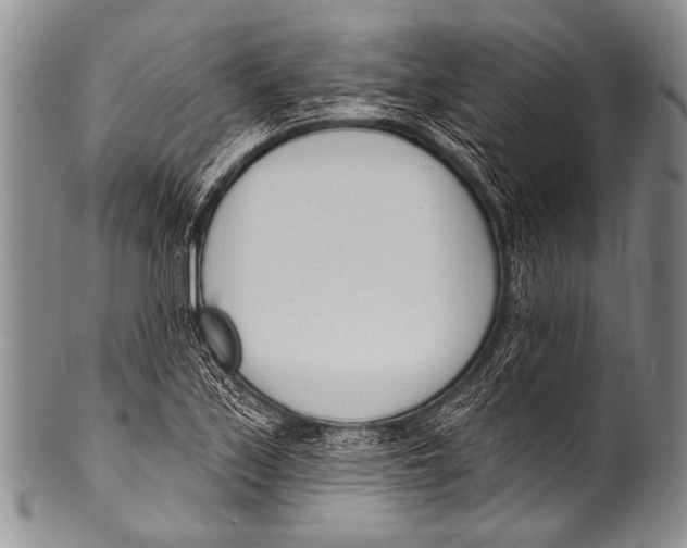 X0000100321171200806261219