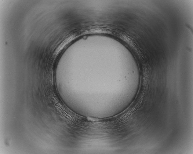 X0000100321173200806261219