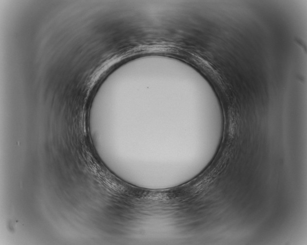 X0000100321174200806261219