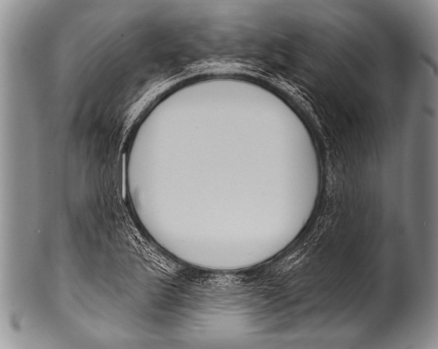 X0000100321175200806261219