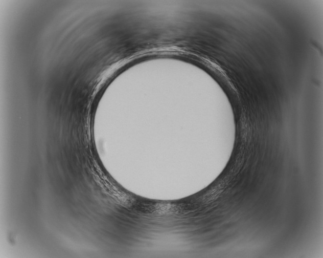 X0000100321176200806261219