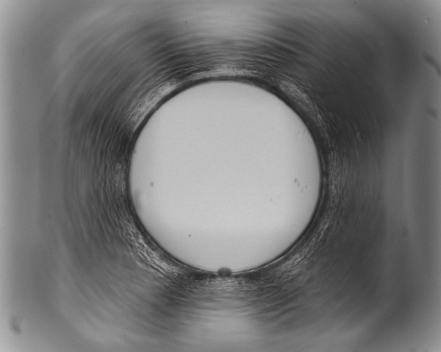 X0000100321177200806261219