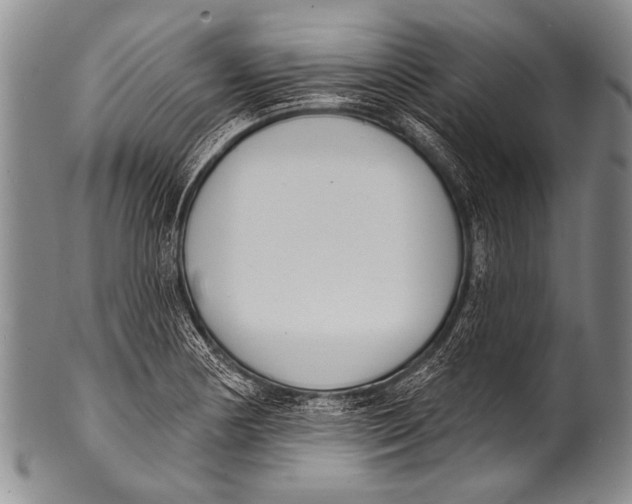 X0000100321178200806261219