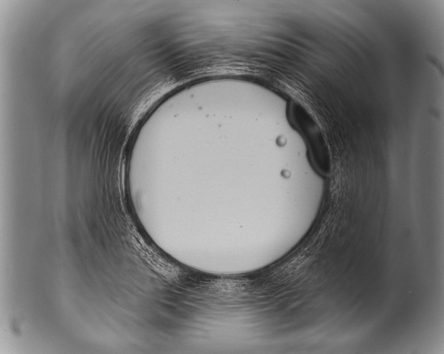 X0000100321179200806261219