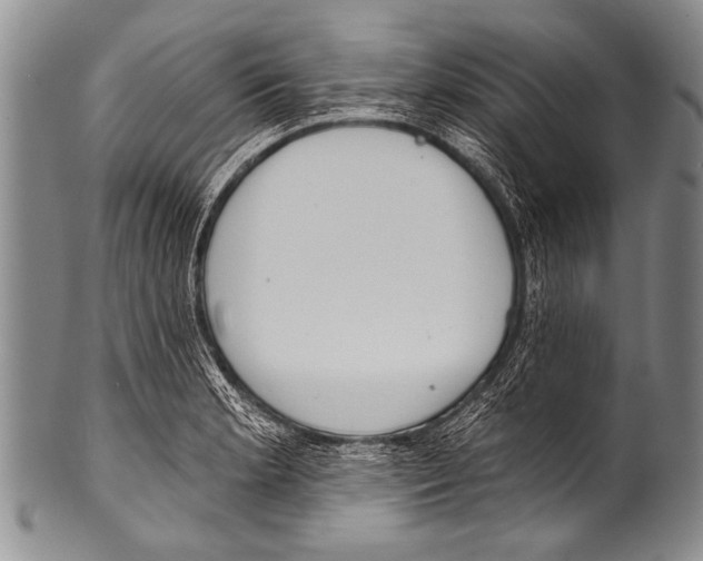 X0000100321181200806261219