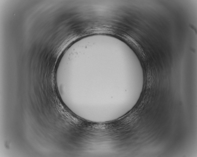 X0000100321182200806261219