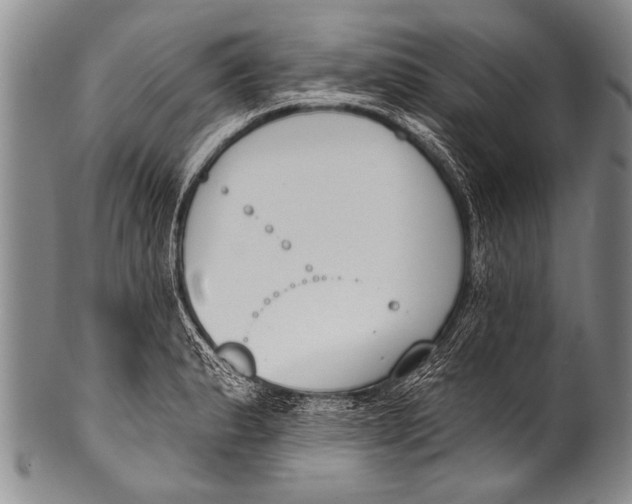 X0000100321183200806261219