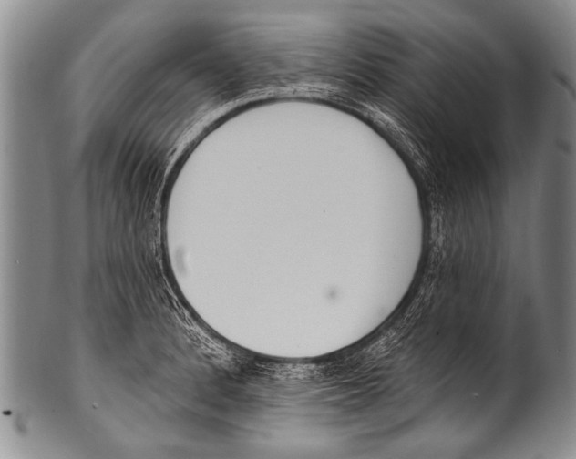 X0000100321184200806261219