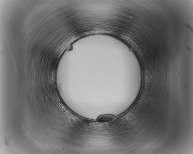 X0000100321185200806261219