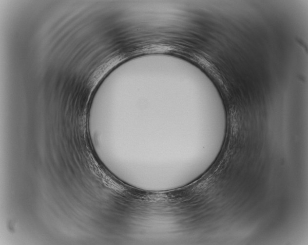 X0000100321186200806261219