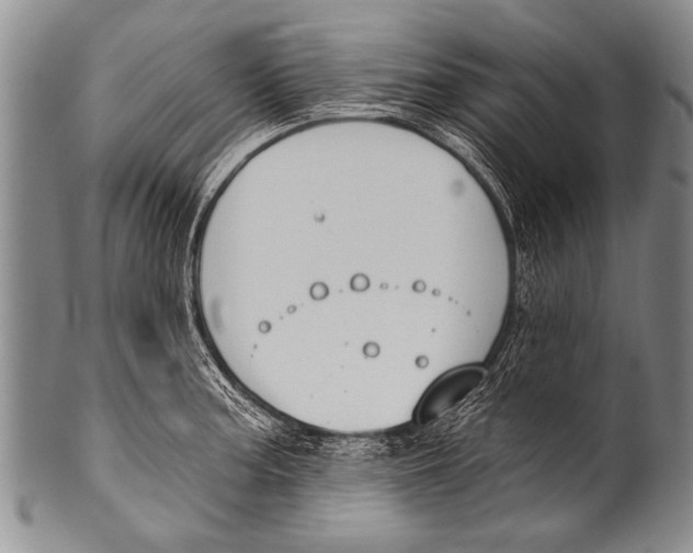 X0000100321187200806261219